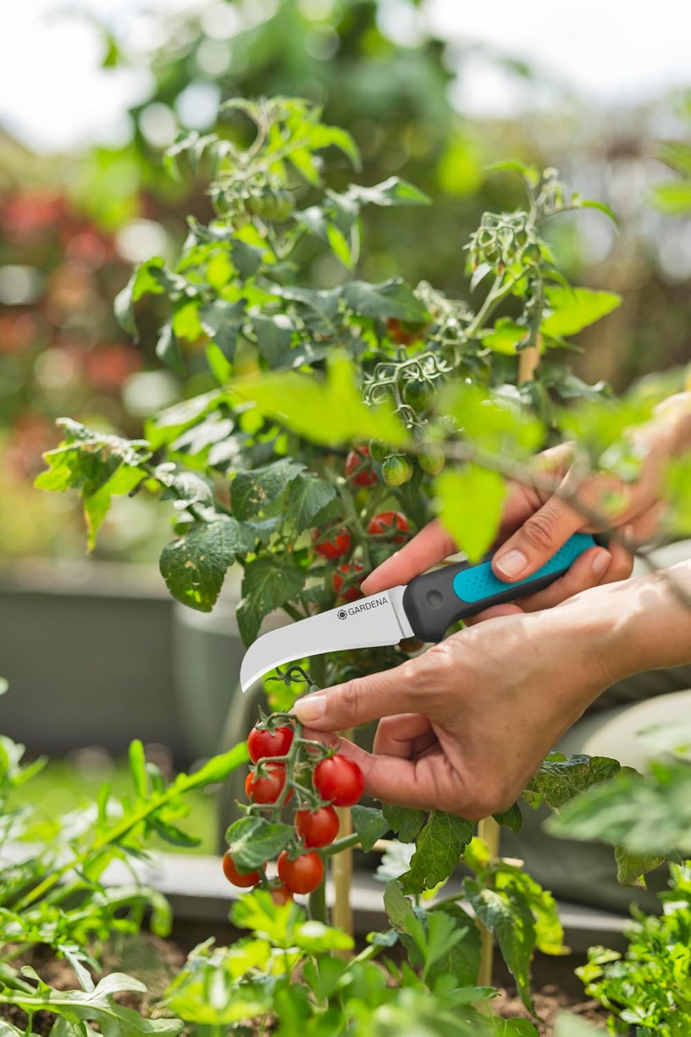 Gardena VeggieCut Erntemesser Edelstahl rutschfester Griff Guertel-Schleife