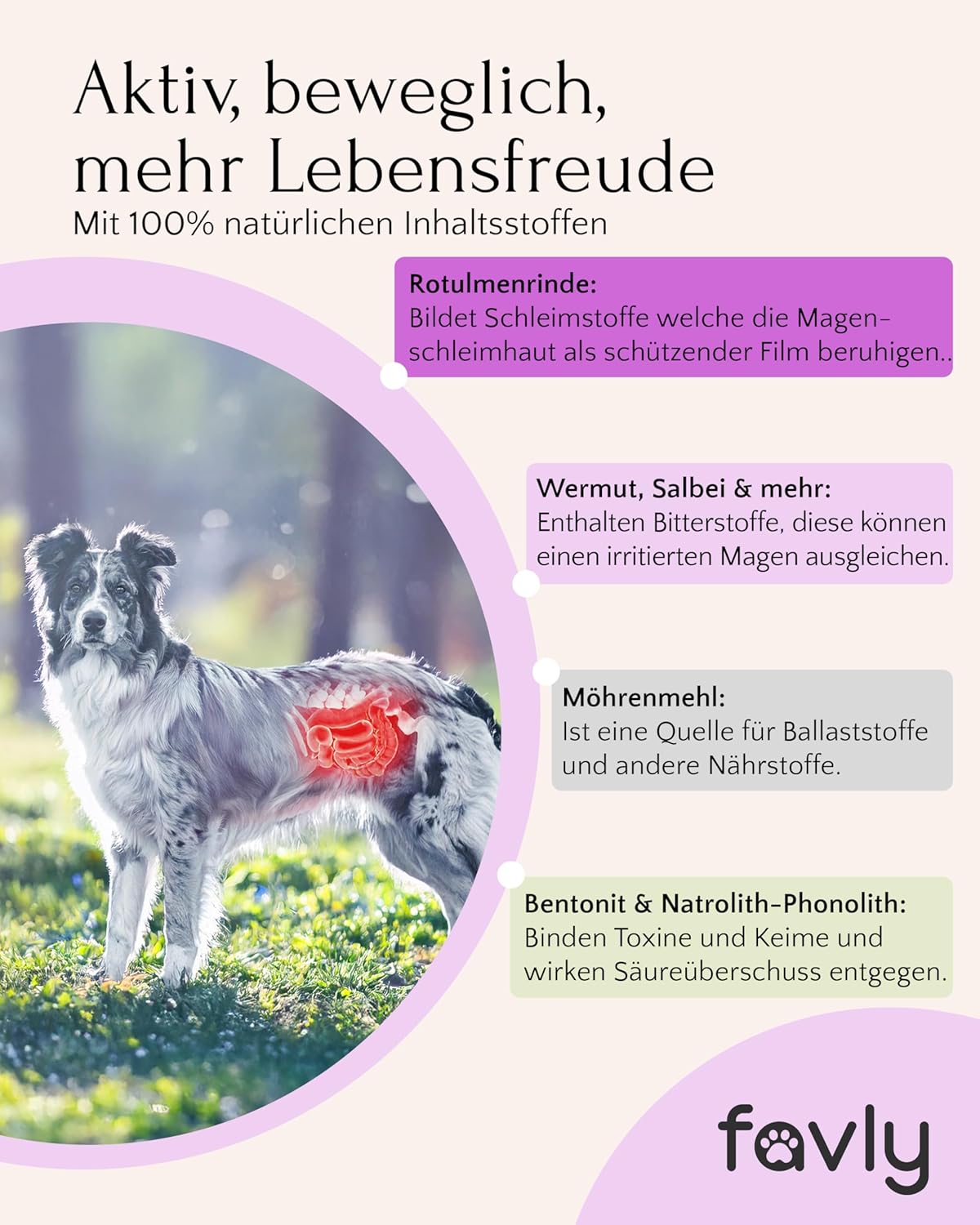 FAVLY Pulver Magen-Darm fuer Hunde - getreidefreies Ergaenzungsfutter, Rotulm