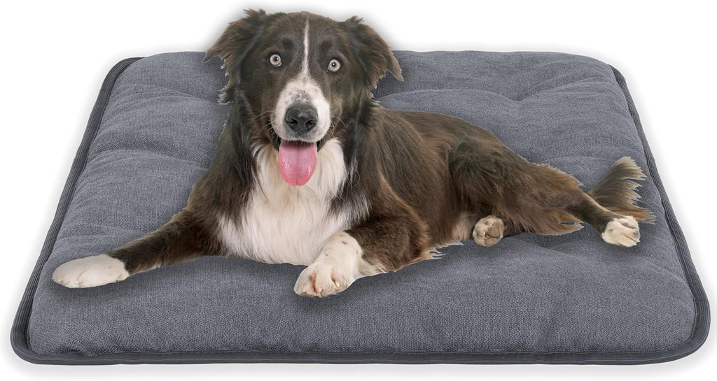 Hundekissen 70x50 cm M grau, allergikerfreundlich, rutschfest, 40°C waschbar