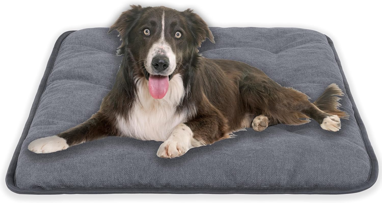 Hundekissen 70x50 cm M grau, allergikerfreundlich, rutschfest, 40°C waschbar