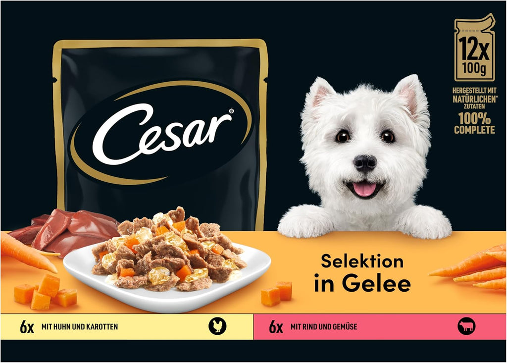 Cesar Hunde Nassfutter 40 x 100 g Selektion in Sauce - verschiedene Sorten