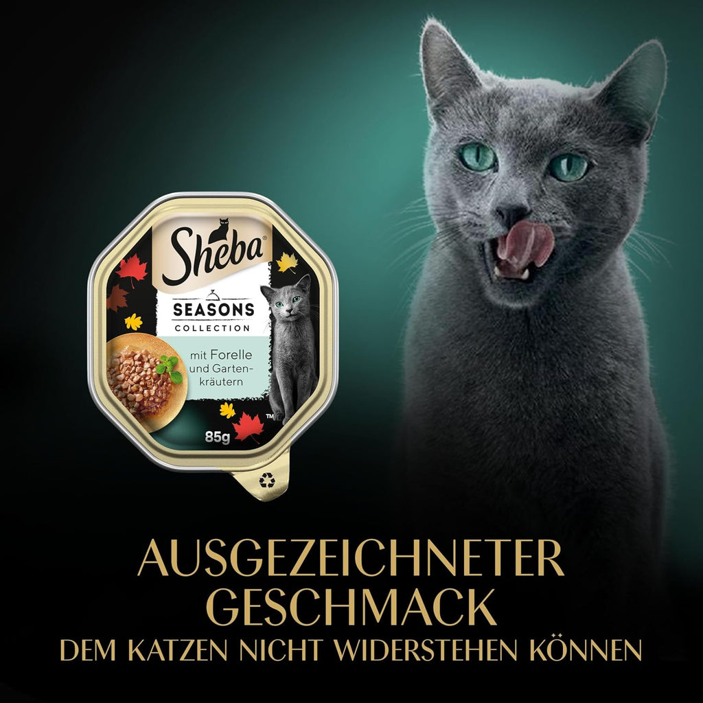 Katzen Nassfutter 22 x 85 g Schale Mix Collection Katzennassfutter