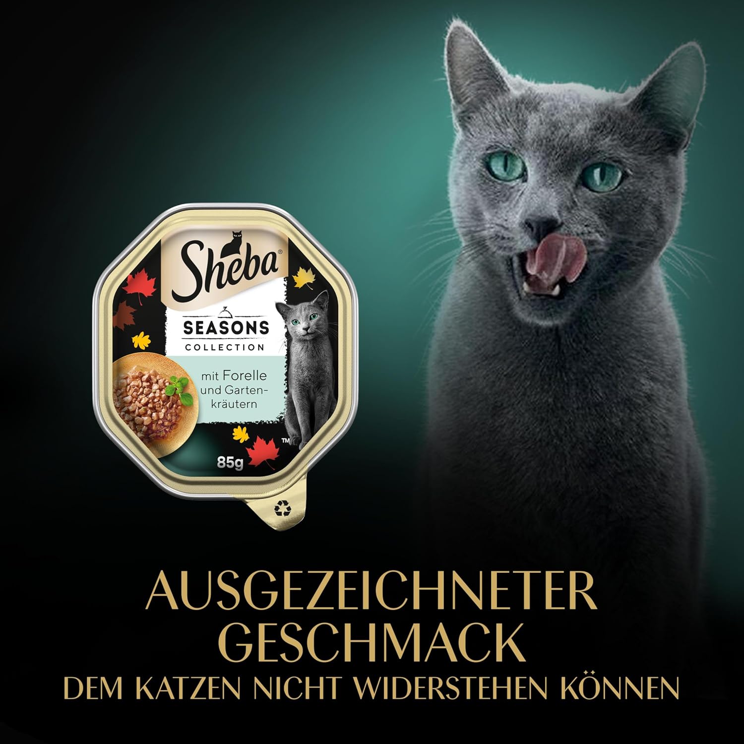 Katzen Nassfutter 22 x 85 g Schale Mix Collection Katzennassfutter