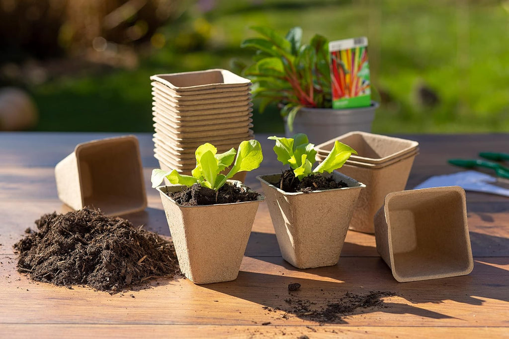 96 Bio Anzuchttoepfe 6x6 cm Pflanztoepfe Set 4cm-8cm biologisch abbaubar