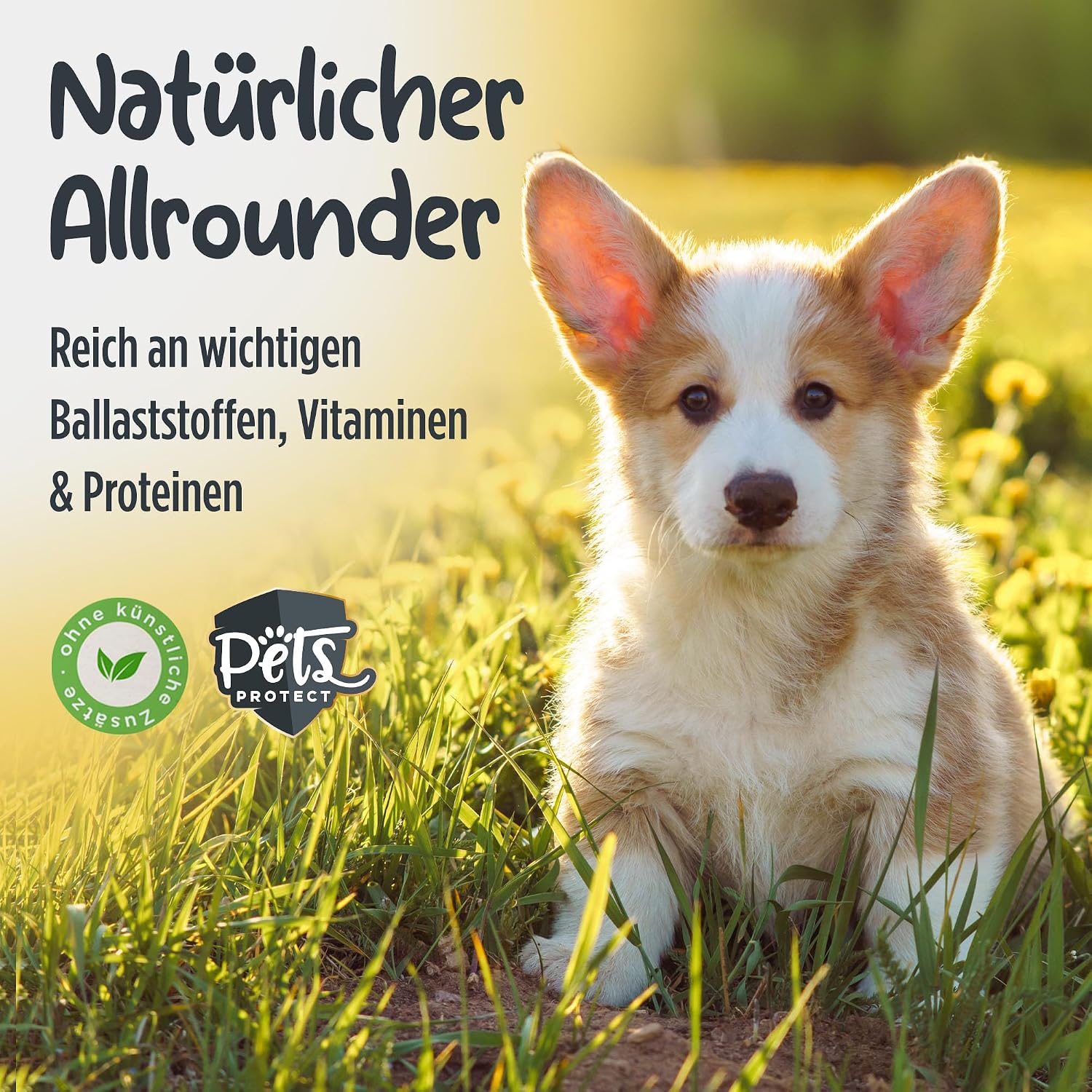 Pets Protect Bio Kokoshappen 300 g vegane Hundesnacks getreidefrei