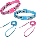 Welpenhalsband mit Leine Set Nylon verstellbar für kleine und mittlere Hunde, 2e