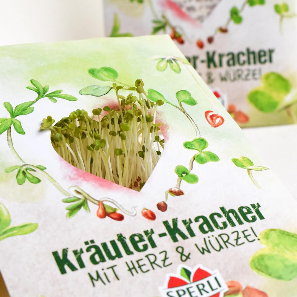 Blumensamen Set Streublumen Konfetti Saatgut Geschenk Mischung