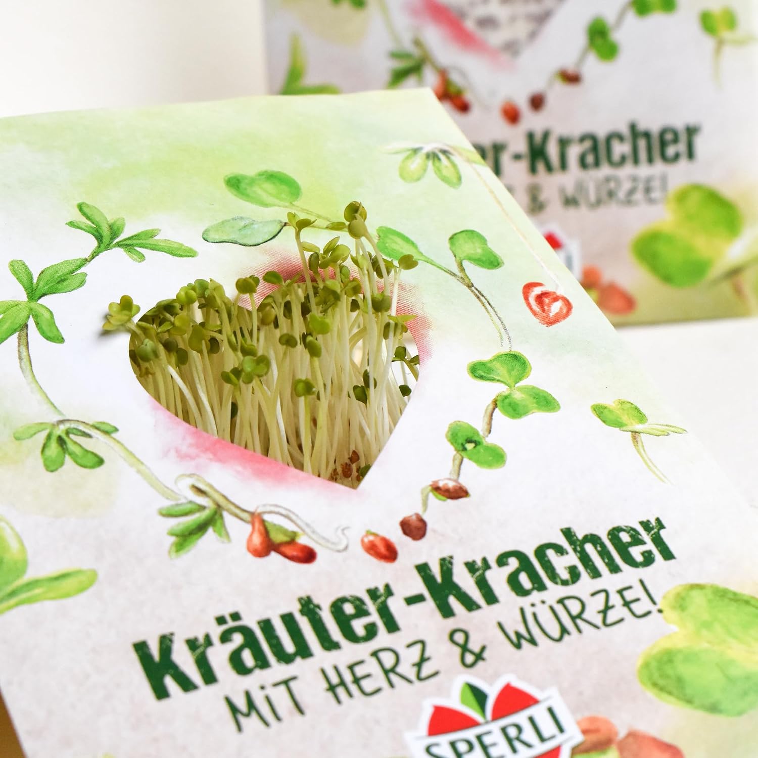 Blumensamen Set Streublumen Konfetti Saatgut Geschenk Mischung