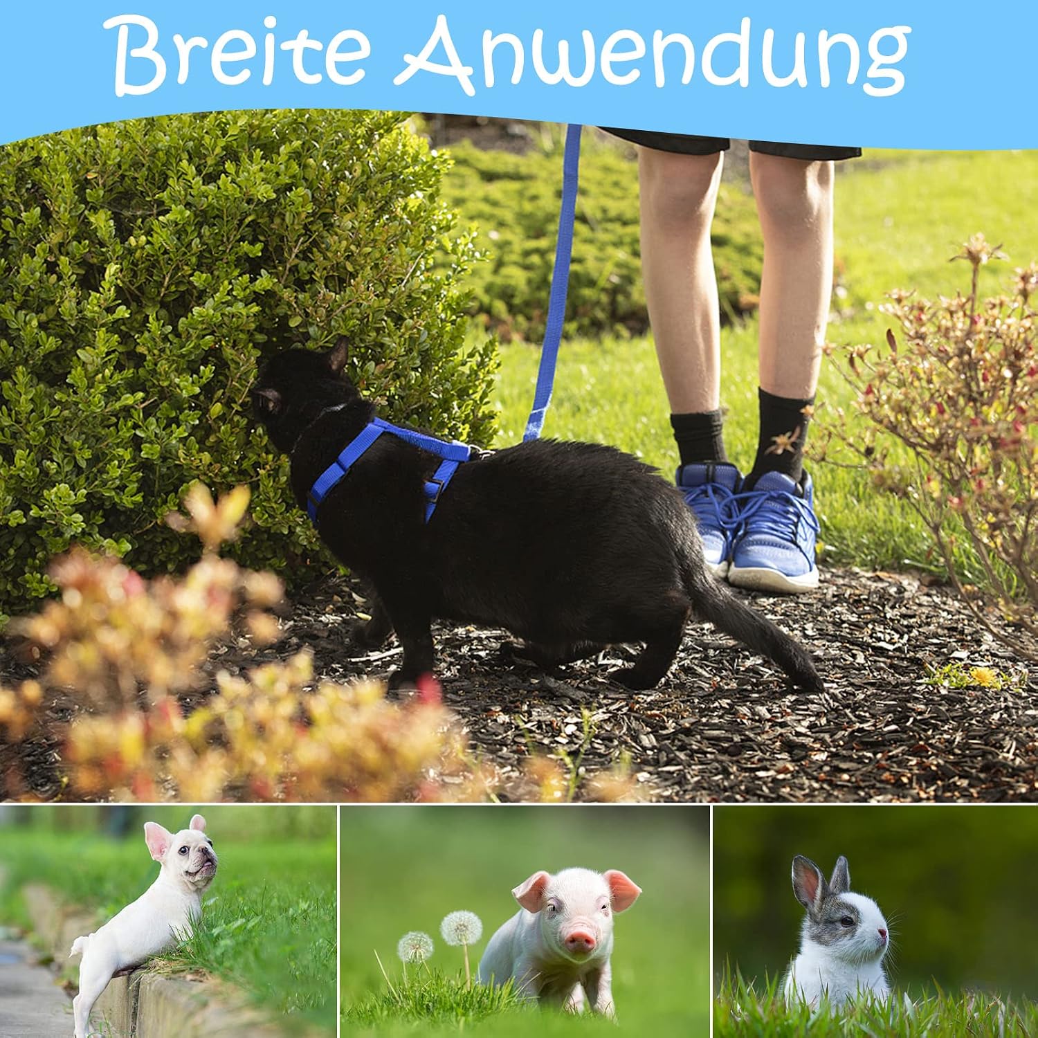 2er Set Katzengeschirr Nylon verstellbar mit Leine Blau Rosa Kaetzchen