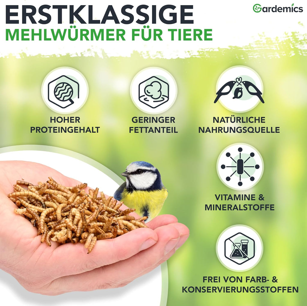 Gardemics Mehlwuermer getrocknet Insektenfutter fuer Voegel Fische Reptili
