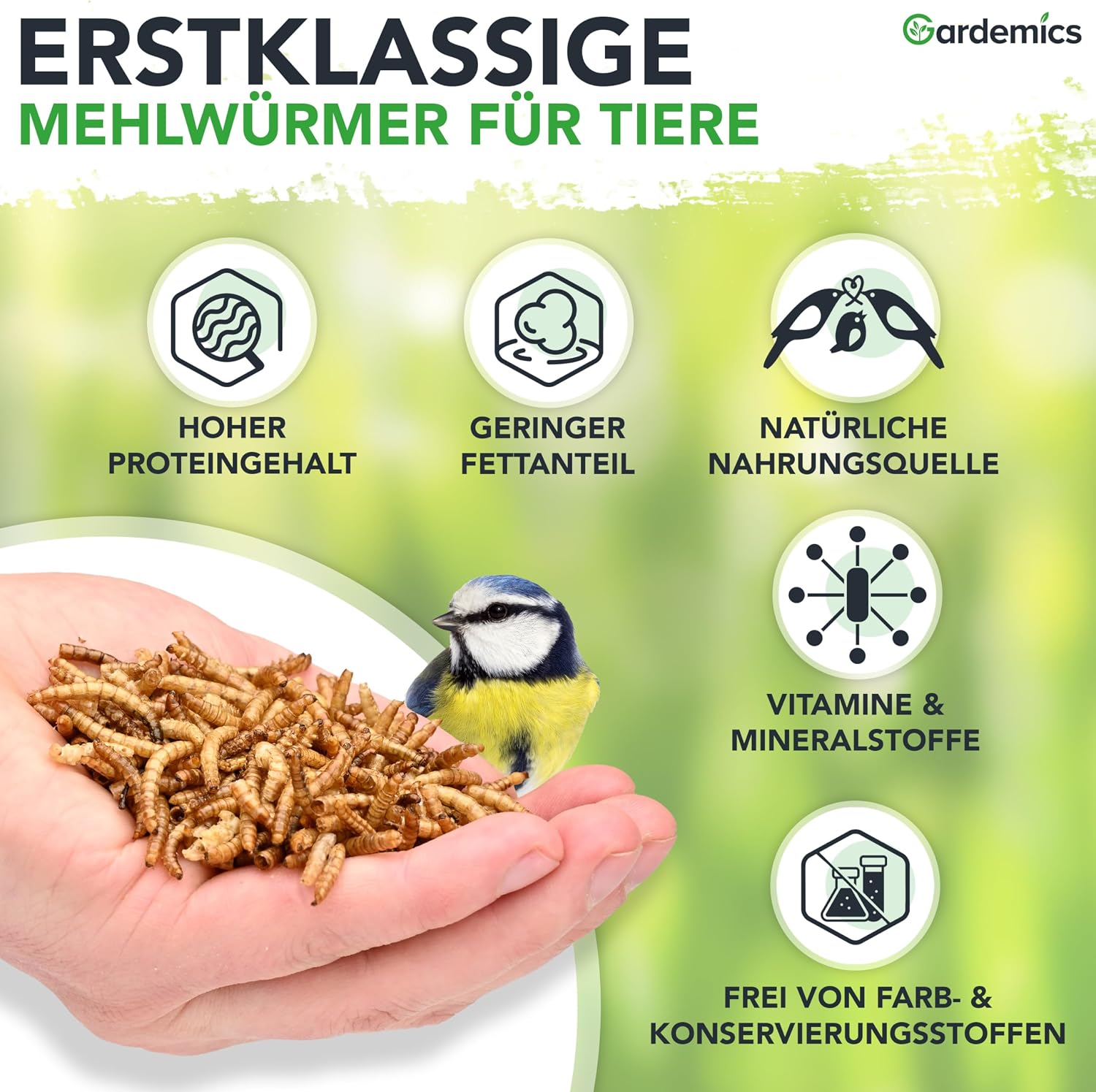 Gardemics Mehlwuermer getrocknet Insektenfutter fuer Voegel Fische Reptili