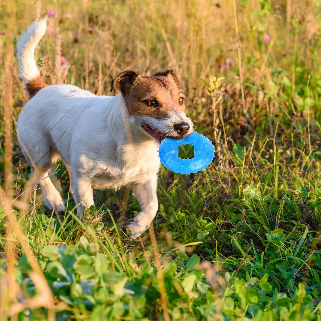 Zerodis Hundekauspielzeug gefrierbar TPR Beissring kuehlend Sommer Training