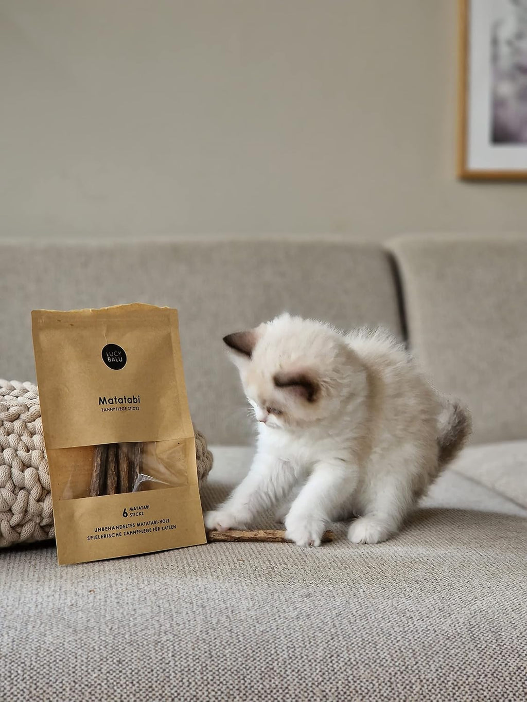 Katzen Kauholz Matatabi Sticks Zahnreinigung Spielzeug 6 Stueck