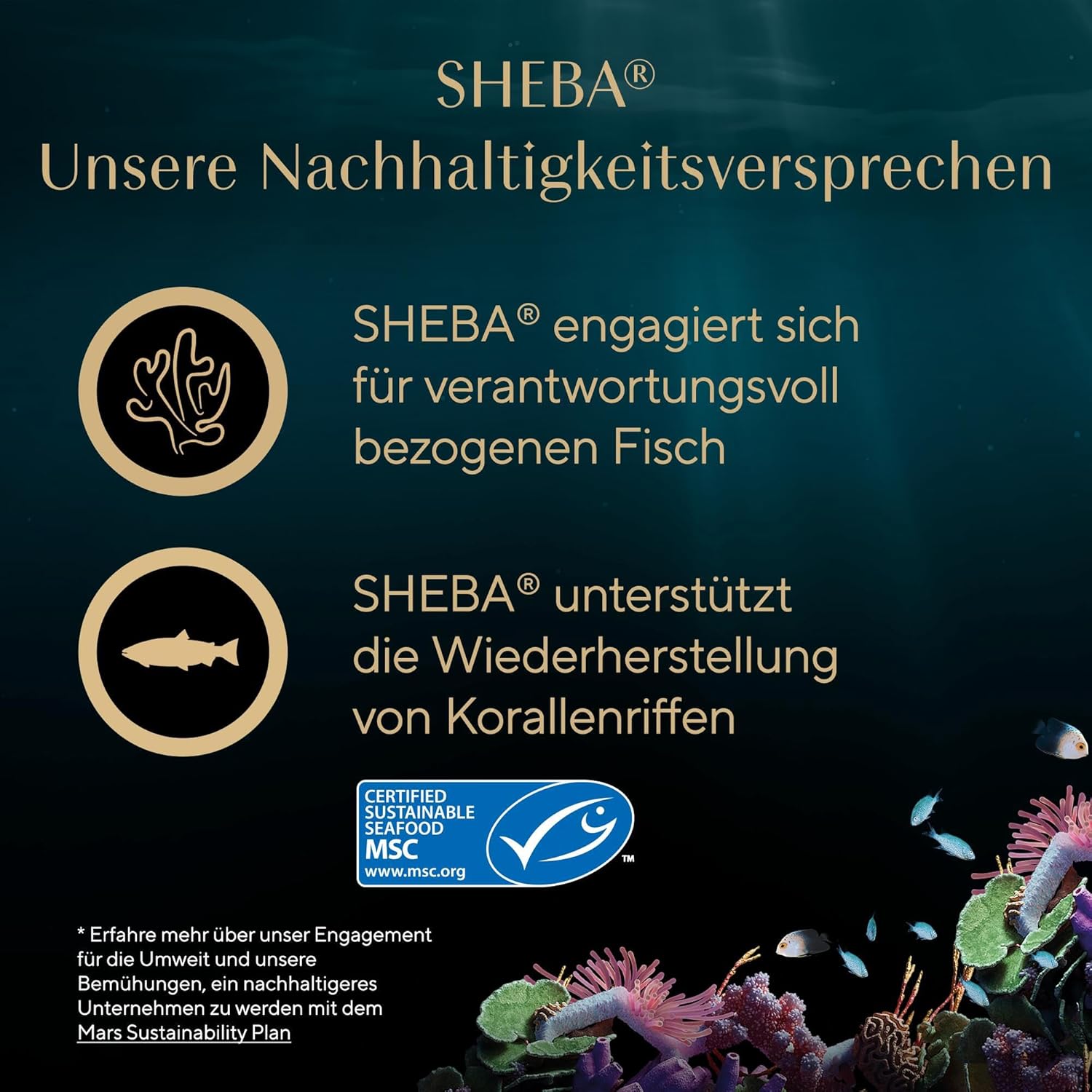 SHEBA Filets in Sauce Katzenfutter 16 x 60 g | Huhn Hochseefisch Garnelen
