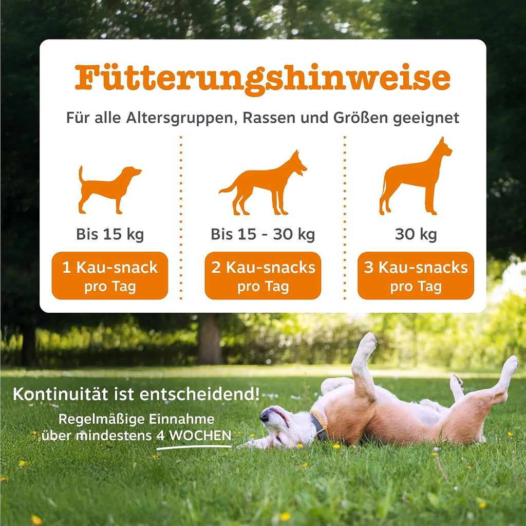 Zesty Paws Probiotika für Hunde 90 Kauleckerlis mit Kürbis & Leinsamen