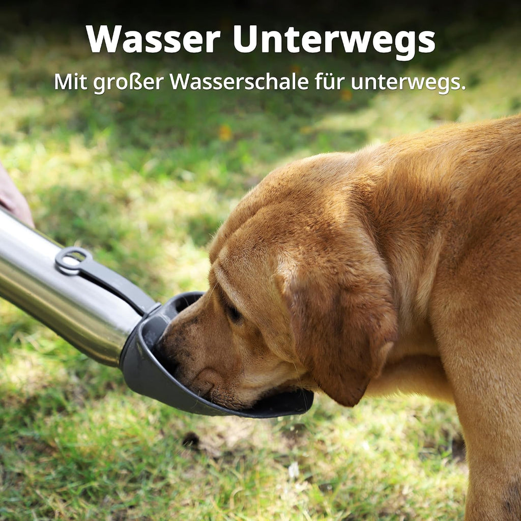 Edelstahl Hundetrinkflasche 750 ml vakuumisoliert doppelwandig tragbar
