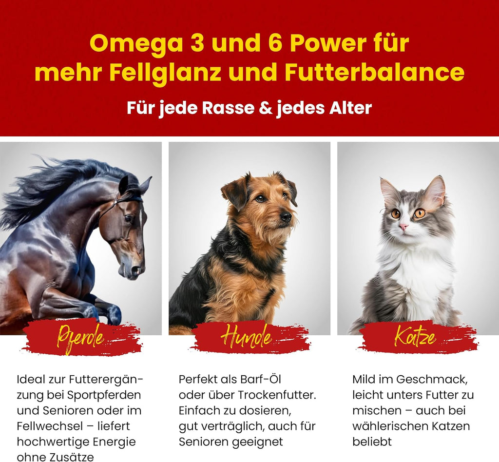 Scheidler Leinöl für Pferd Hund Katze 5 L Omega 3 und 6