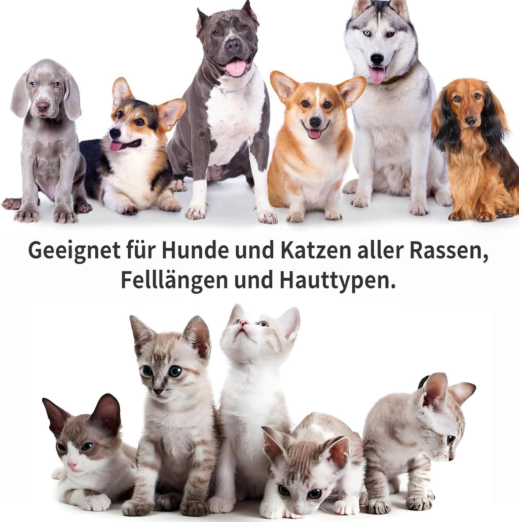 Hundeshampoo Kokosoel pH-neutral hypoallergen rueckfettend fuer Hunde Katzen
