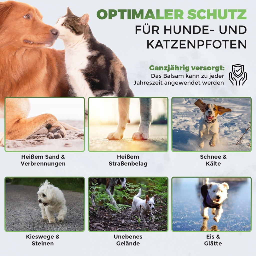 Golden Pets Pfotenbalsam Stick mit Propolis und Avocado - Nasenschutz