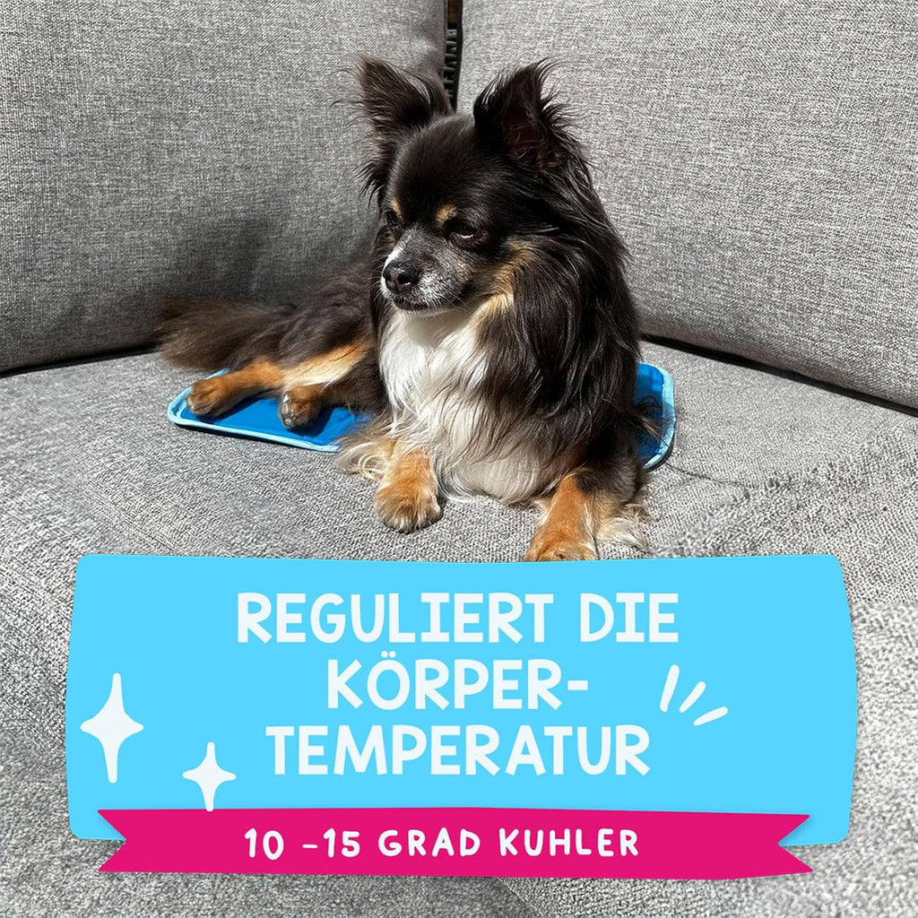 CoolPets Kuehlmatte Hund XS 40x30 cm rutschfest mit Citronella Eukalyptus