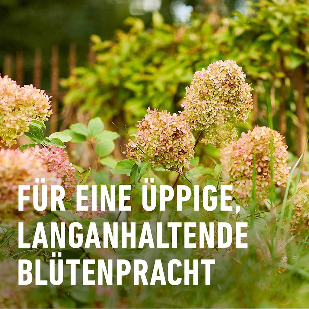 COMPO Stauden Langzeitduenger 2 kg fuer bluehende Stauden, Langzeitwirkung