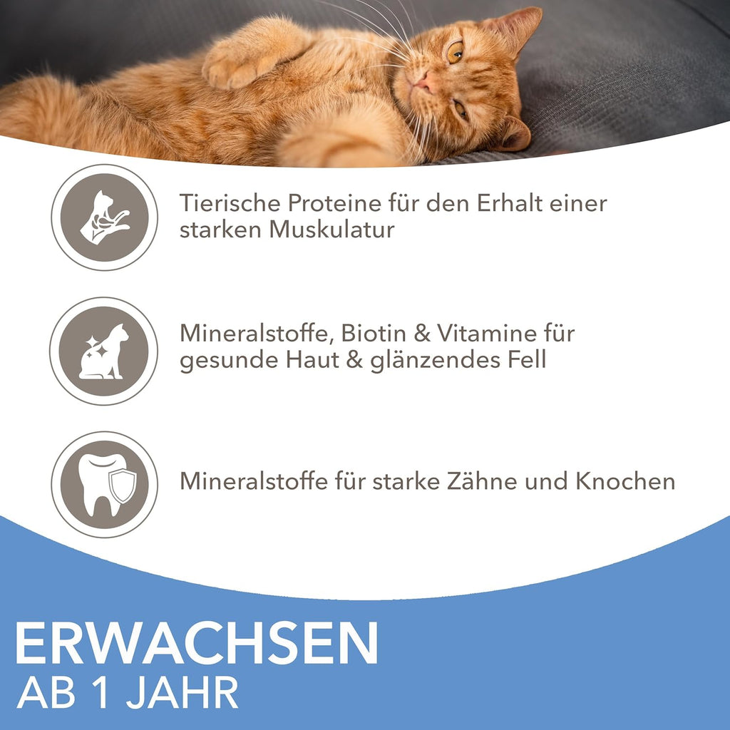 IAMS Delights Katzennassfutter Sea Collection Fisch Mix in Sauce 12×85g