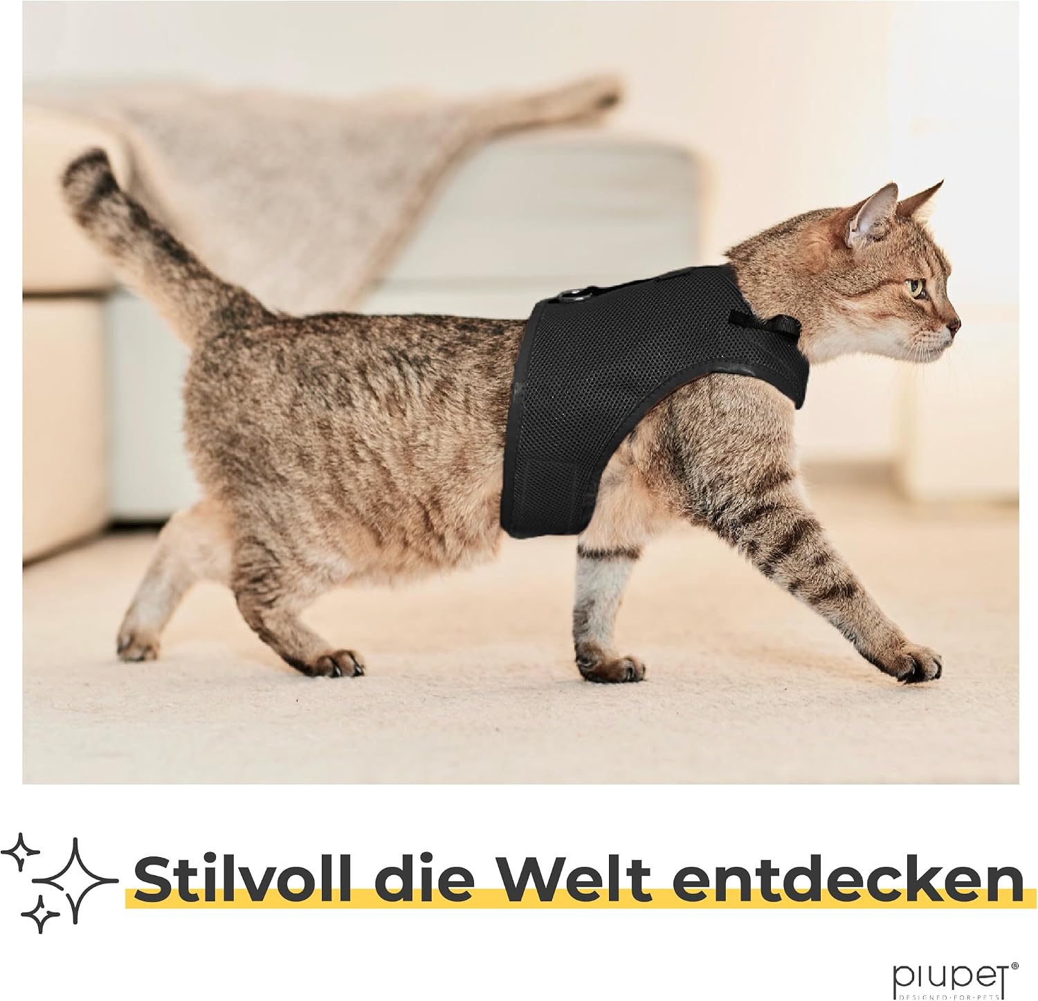 PiuPet Katzengeschirr M mit 1,2 m Leine, Anti-Ausbruch Halsband für Kätzchen