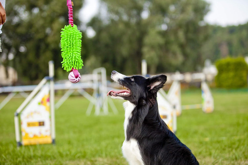 Dingo Mop Bungee Hundespielzeug Gruen Mikrofaser Vanille Duft Tauzieh Ball