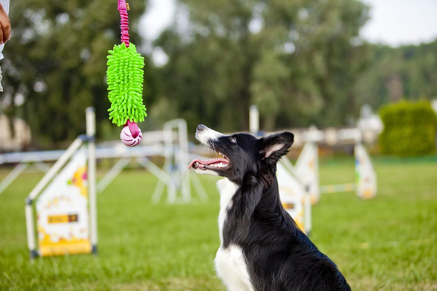 Dingo Mop Bungee Hundespielzeug Gruen Mikrofaser Vanille Duft Tauzieh Ball