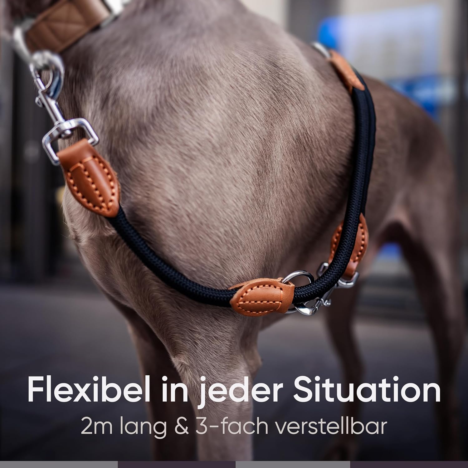 Freudentier verstellbare Hundeleine Nylon mit Lederoptik Schwarz 2m-3m