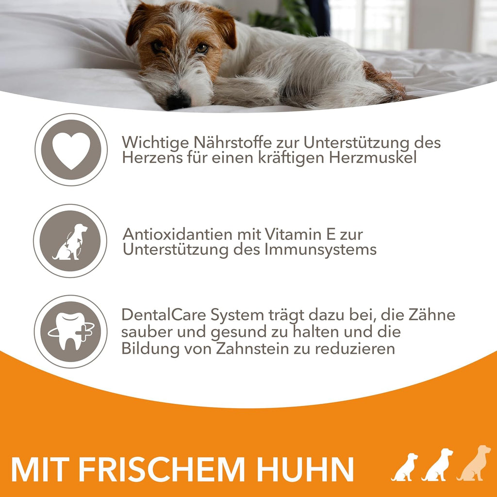 IAMS Senior Trockenfutter Huhn fuer Hunde ab 8 Jahre, kleine/medium