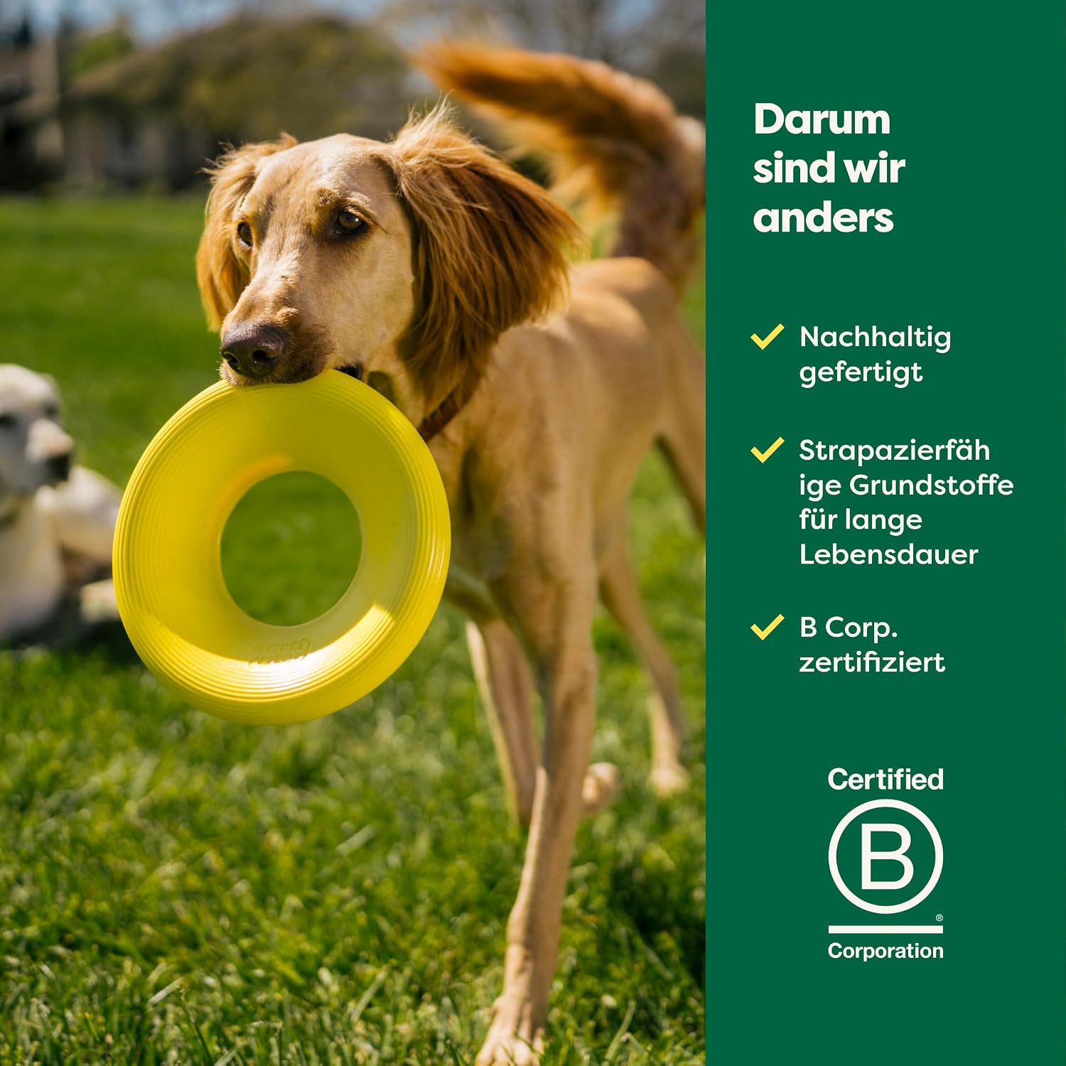 Earth Rated Fliegender Ring Hundespielzeug Wasserdicht Schwimmfaehig S-L Gelb
