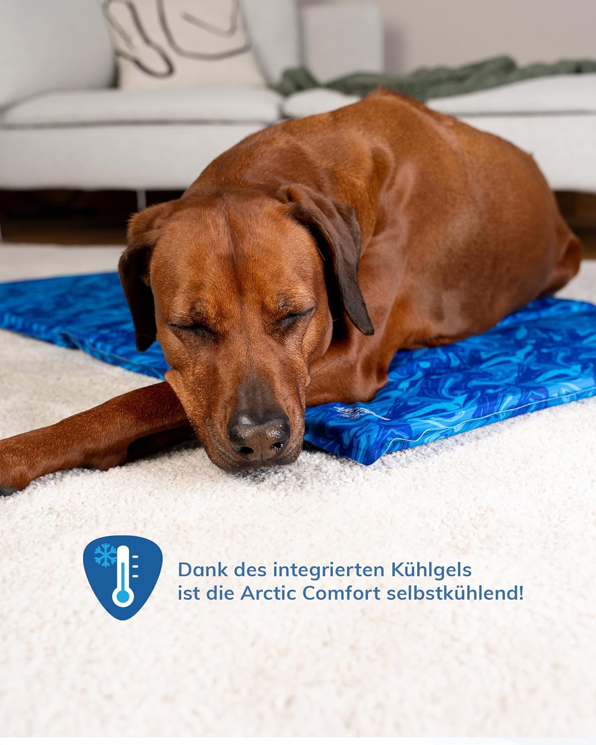 TrendPet Arctic Comfort Kuehlmatte Hund 60x45 cm 20 mm extra dick selbstkuehlend