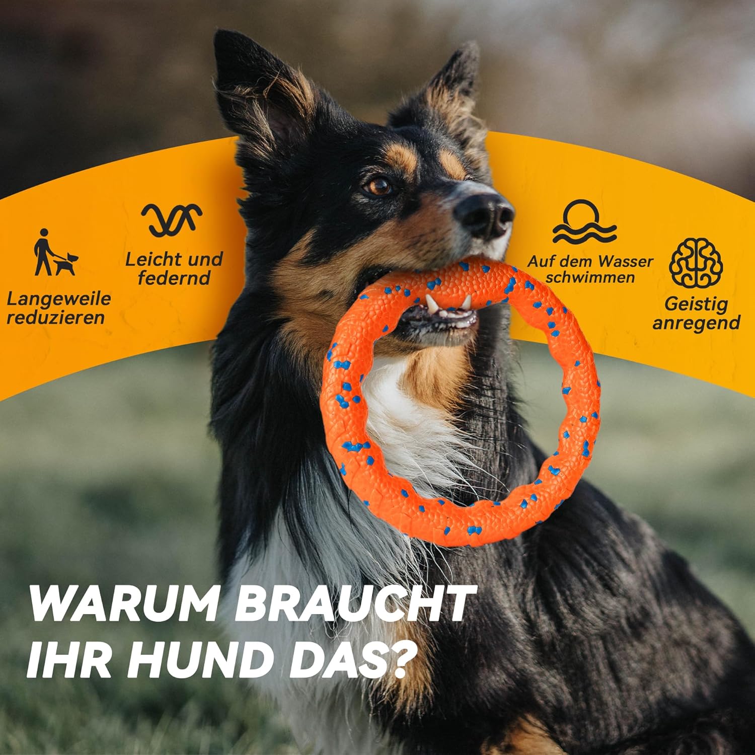 Kauring Hundespielzeug Schwimmender Wurf- und Trainingsring fuer Hunde