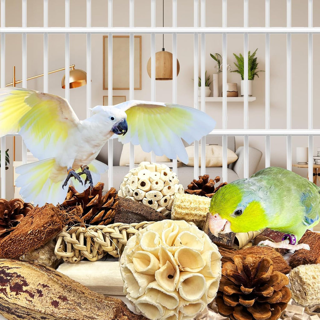 Kauspielzeug Papagei Vogel Käfigzubehör für Wellensittich Nymphensittich