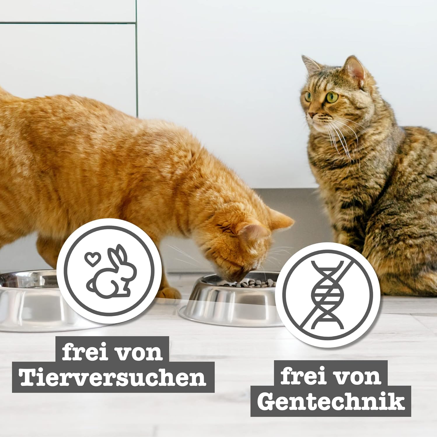 catz finefood Senior Collection Katzenfutter nass 6x200g getreidefrei