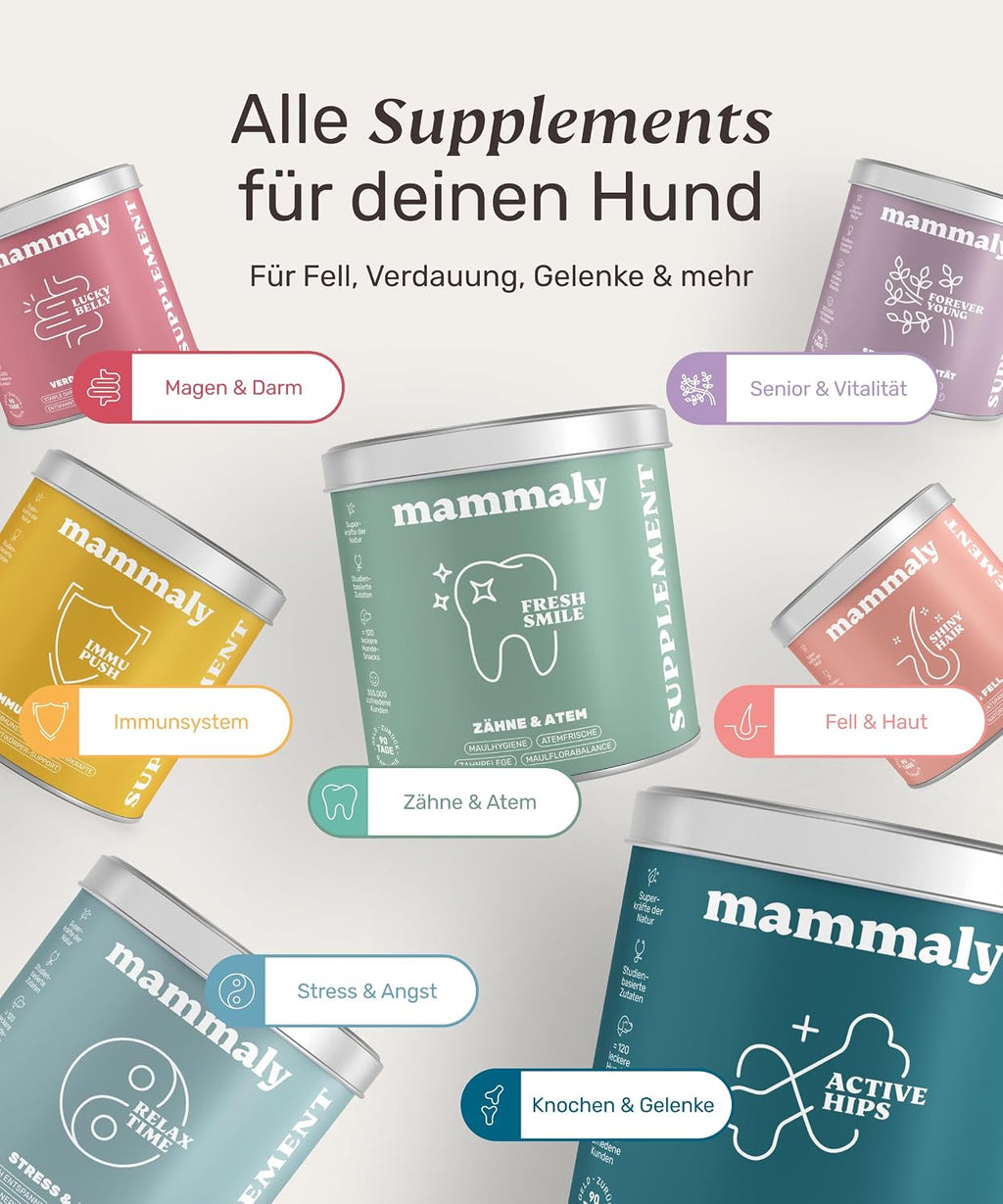 mammaly Fresh Smile Hundezahnpflege Leckerli 10-in-1 verschiedene Sort