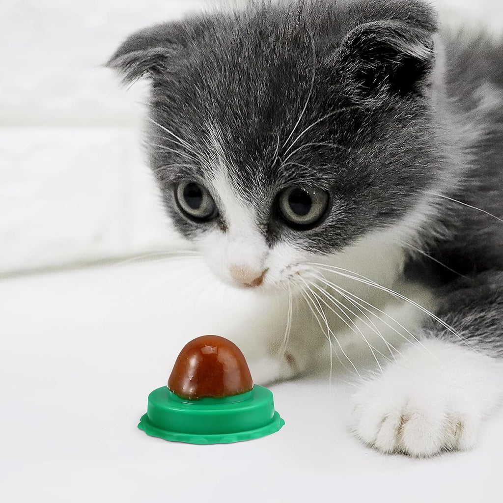 PRETYZOOM Katzenminze Leckstein Ball 10 Stueck Fisch Unterstuetzt Harnfunktion