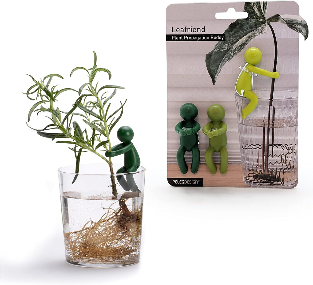 Leafriend Pflanzenhalter 3er Set fuer Stecklinge und Triebe Indoor