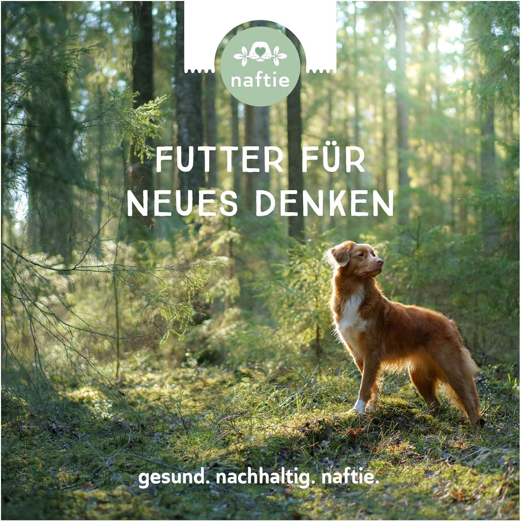Bio Hundefutter Nassfutter 4 Sorten Testpaket 4x800g glutenfrei fettarm -800