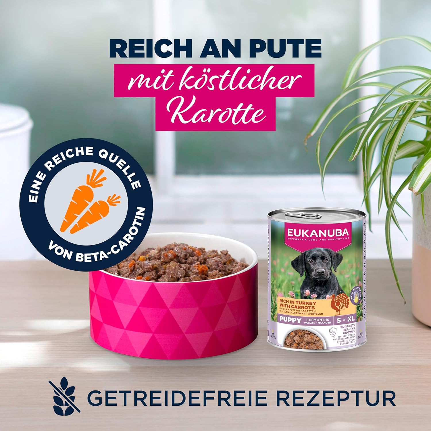 Eukanuba Welpen Nassfutter Lamm & Kartoffel 6x400g () verschiedene Sorten