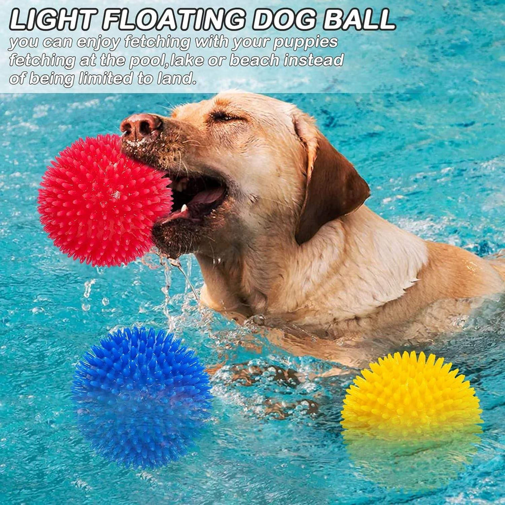 Tragbare Hundeflasche auslaufsicher Gruen + Squeeze- und Leckerli-Ball Bla