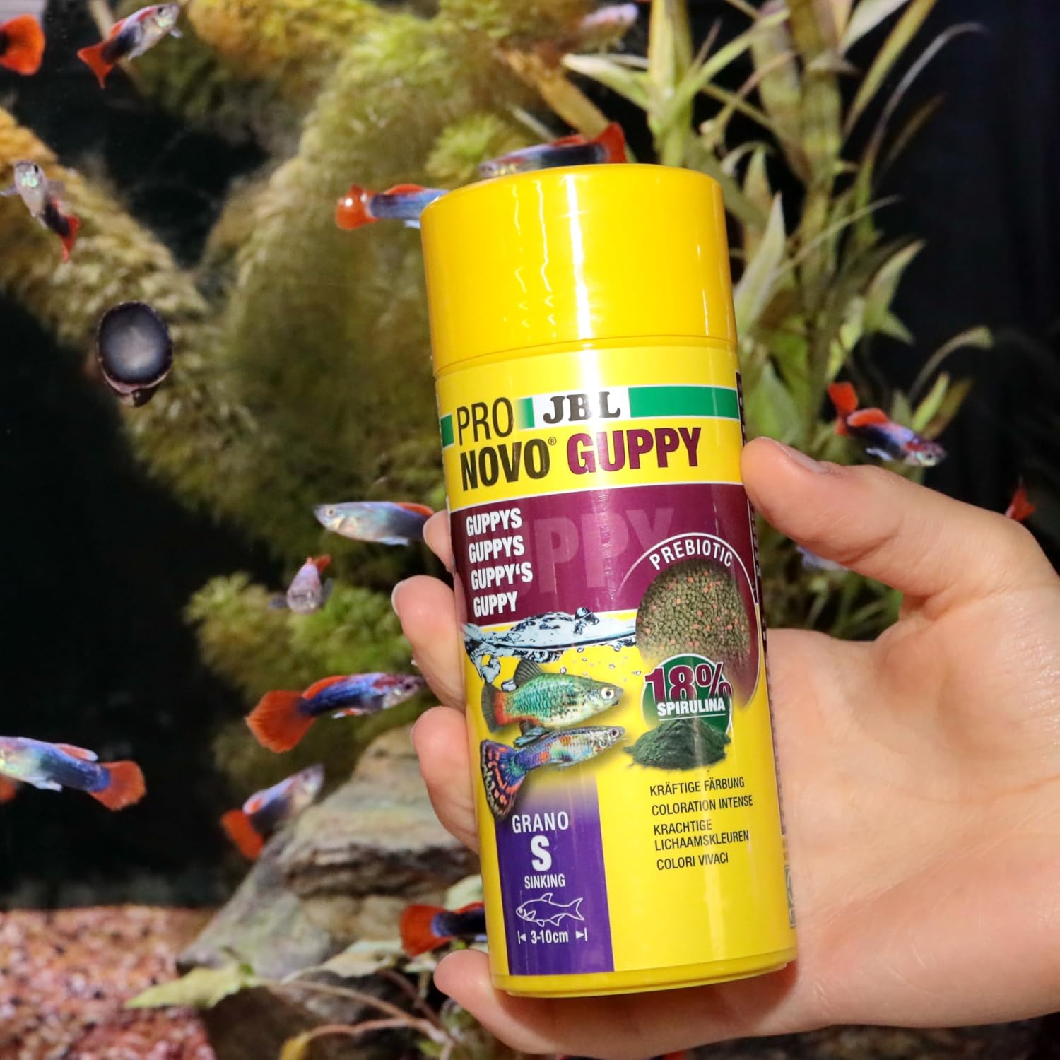 JBL ProNovo Guppy Grano Futtergranulat Groesse S |
