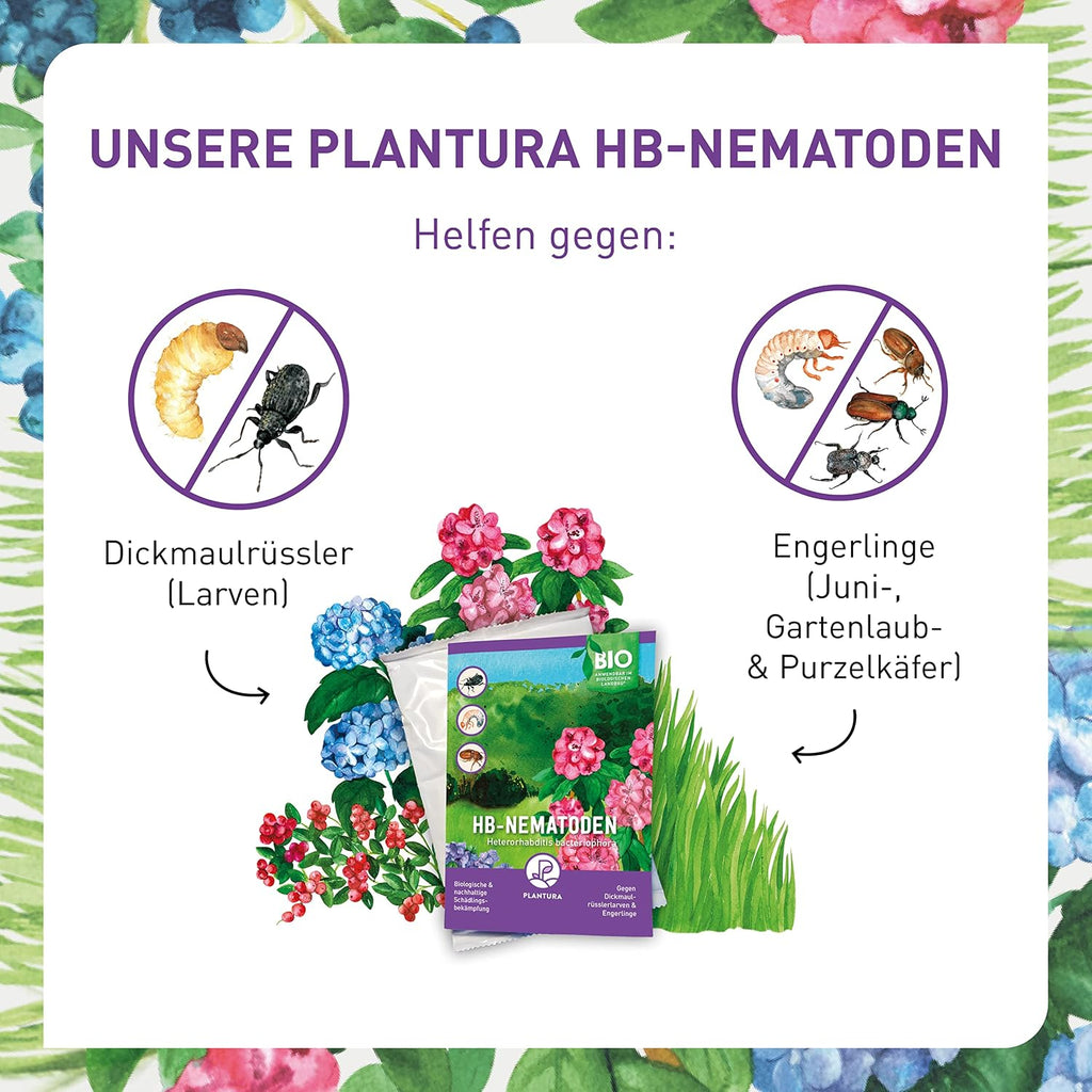 Plantura Nematoden gegen Trauermuecken zum Giessen 5 Mio fuer 5 m² (ca. 50 Pflanzen
