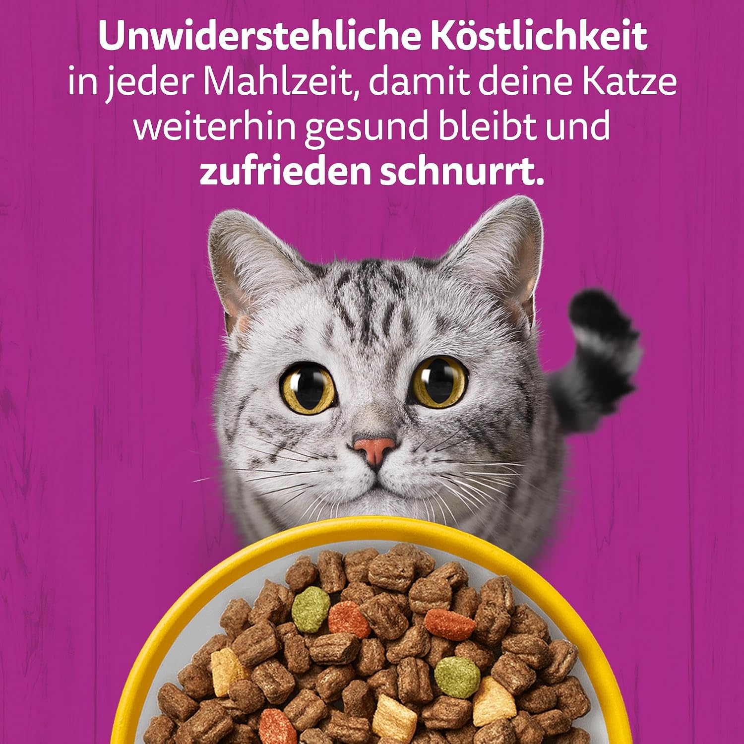 Katzenfutter Trockenfutter verschiedene Sorten Huhn