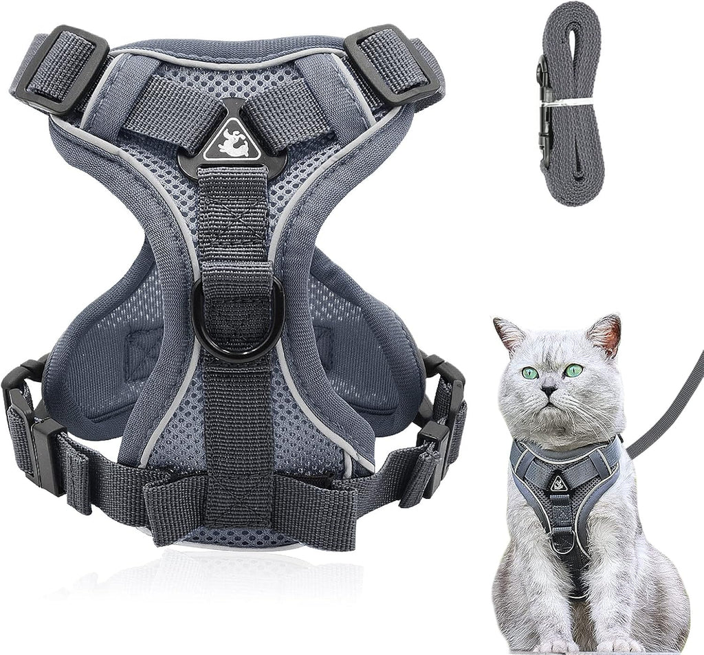 Katzengeschirr ausbruchsicher verstellbar mit Leine Gr. XS-L Blau