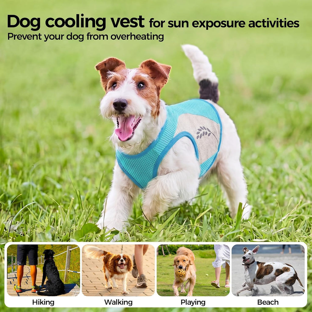 Hundekuehlweste Blau Sommer Kuehljacke Sonnenschutz Outdoor S-XXL