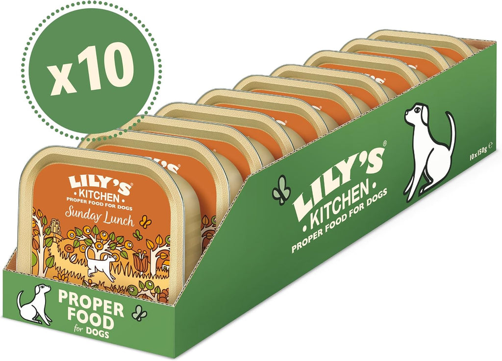 Lily's Kitchen Adult Hundefutter Cottage Pie Nassfutter 10x150g versc