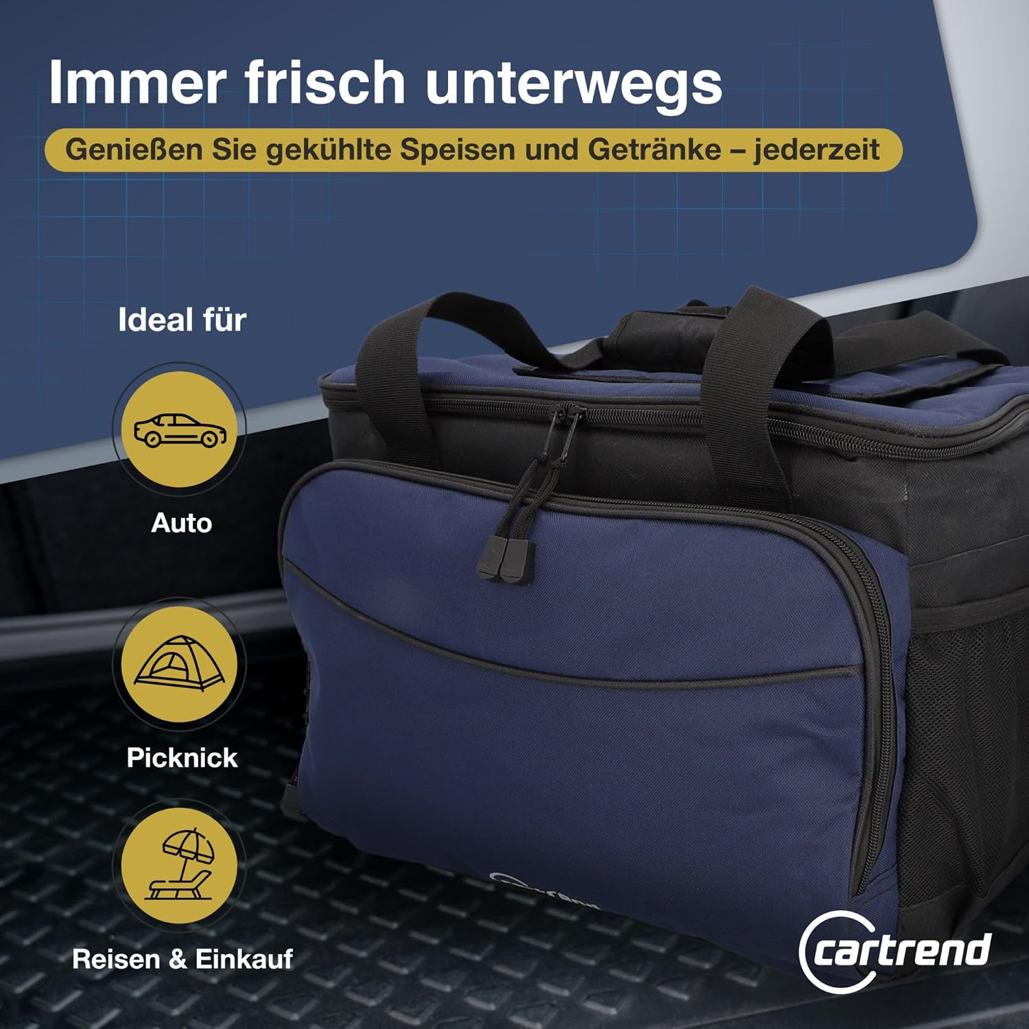 cartrend Kuehltasche mit 12V KFZ-Anschluss 1,5 m Schultergurt Taschen