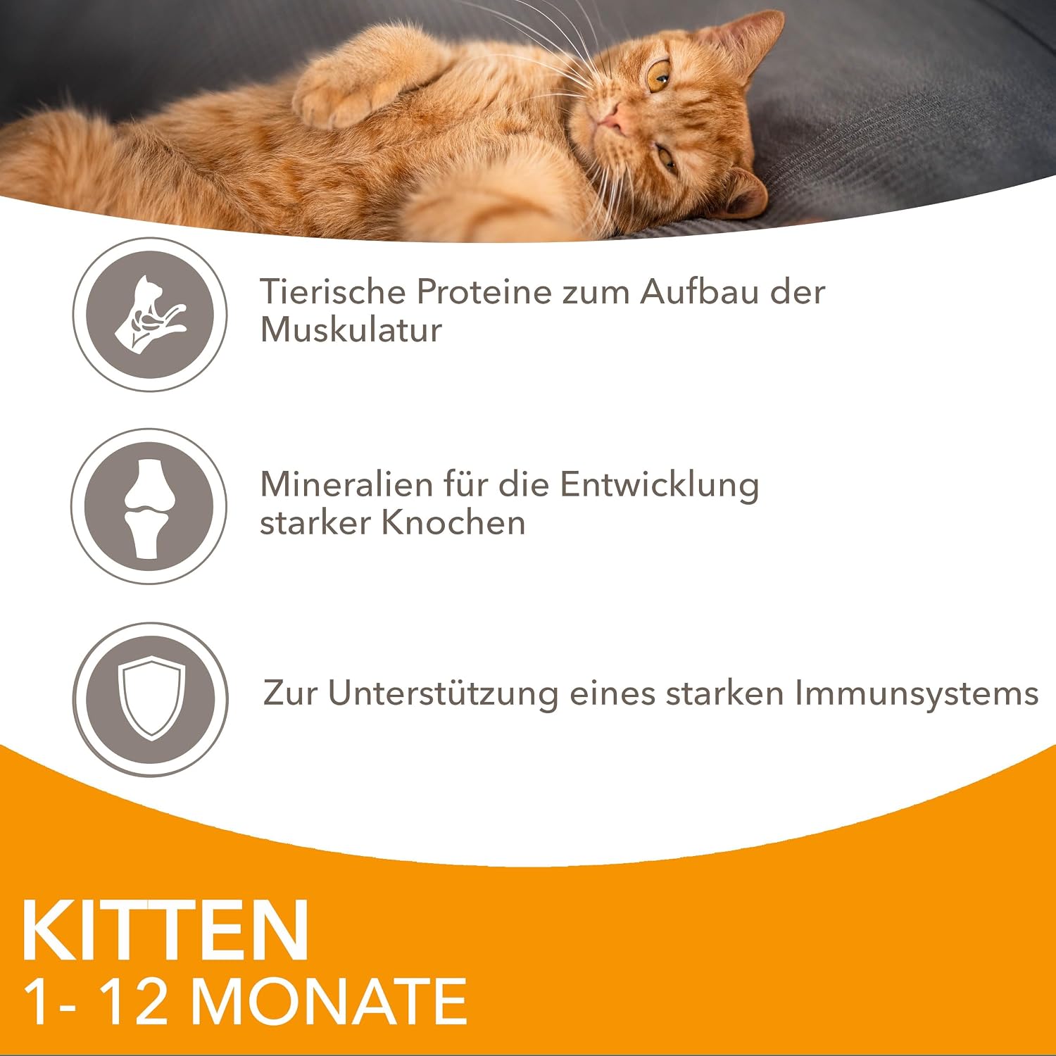 IAMS Delights Kitten Nassfutter 24x85g Huhn in Sauce Katzenfutter Monate